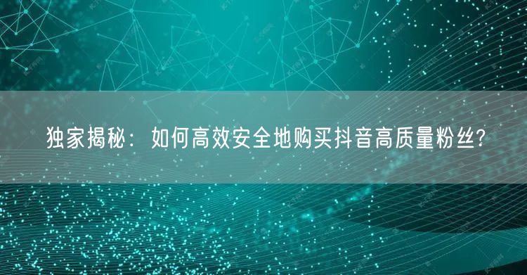 独家揭秘：如何高效安全地购买抖音高质量粉丝?