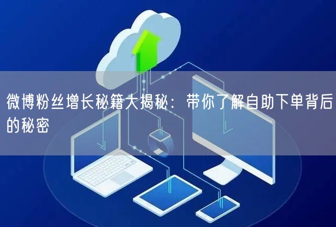 微博粉丝增长秘籍大揭秘：带你了解自助下单背后的秘密