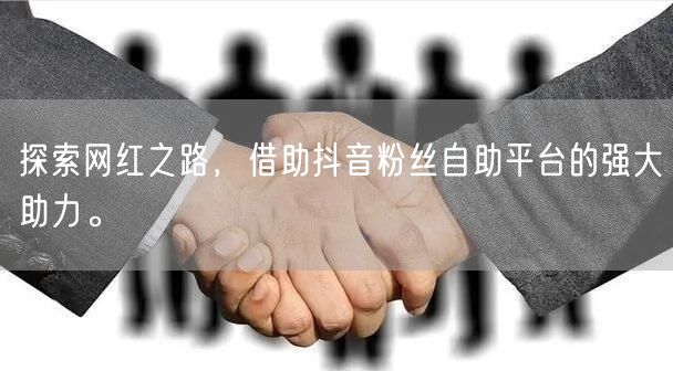 探索网红之路，借助抖音粉丝自助平台的强大助力。