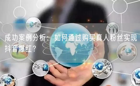 成功案例分析：如何通过购买真人粉丝实现抖音爆红？