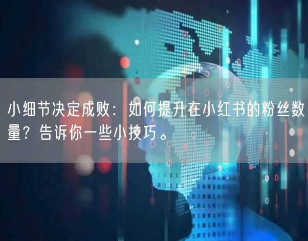 小细节决定成败：如何提升在小红书的粉丝数量？告诉你一些小技巧。