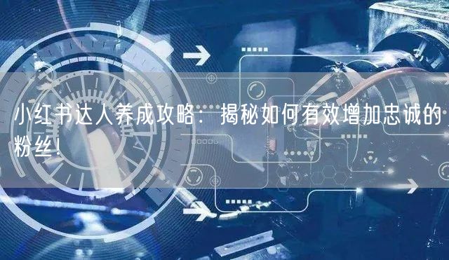 小红书达人养成攻略：揭秘如何有效增加忠诚的粉丝！