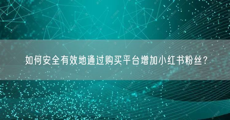 如何安全有效地通过购买平台增加小红书粉丝？