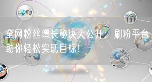 全网粉丝增长秘诀大公开：刷粉平台助你轻松实现目标！
