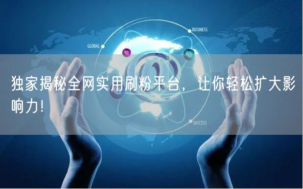 独家揭秘全网实用刷粉平台，让你轻松扩大影响力！