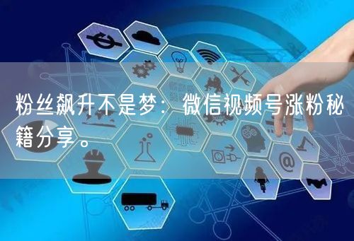 粉丝飙升不是梦：微信视频号涨粉秘籍分享。
