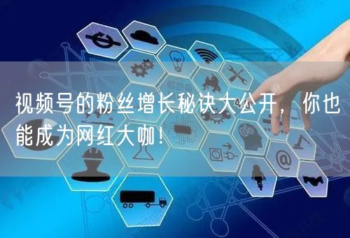 视频号的粉丝增长秘诀大公开，你也能成为网红大咖！
