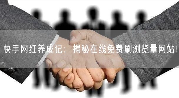 快手网红养成记：揭秘在线免费刷浏览量网站！