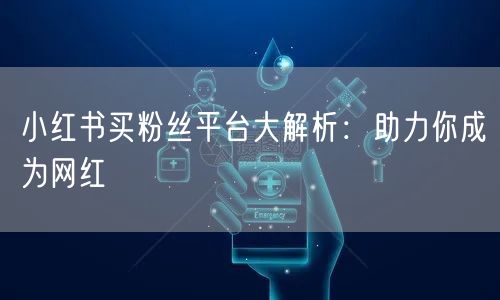 小红书买粉丝平台大解析：助力你成为网红