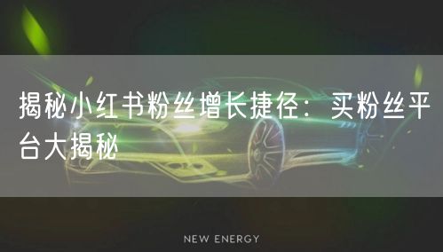 揭秘小红书粉丝增长捷径：买粉丝平台大揭秘