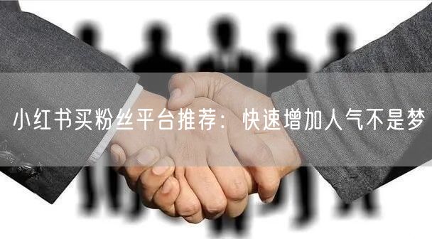 小红书买粉丝平台推荐：快速增加人气不是梦