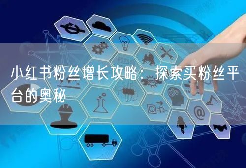 小红书粉丝增长攻略：探索买粉丝平台的奥秘