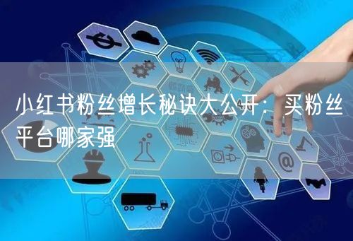 小红书粉丝增长秘诀大公开：买粉丝平台哪家强