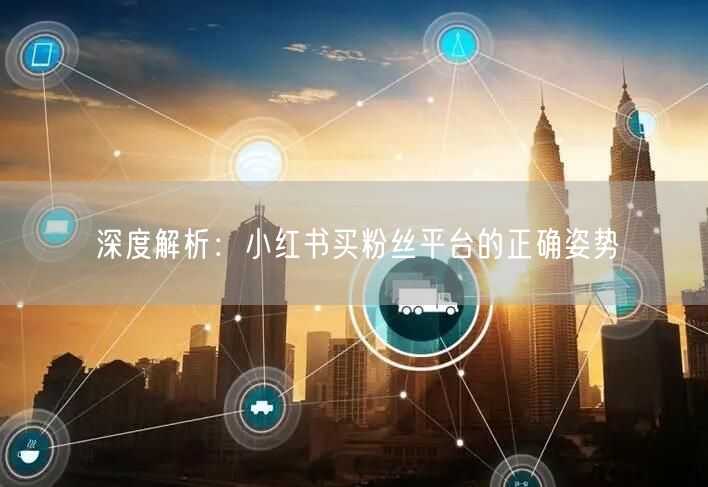 深度解析：小红书买粉丝平台的正确姿势