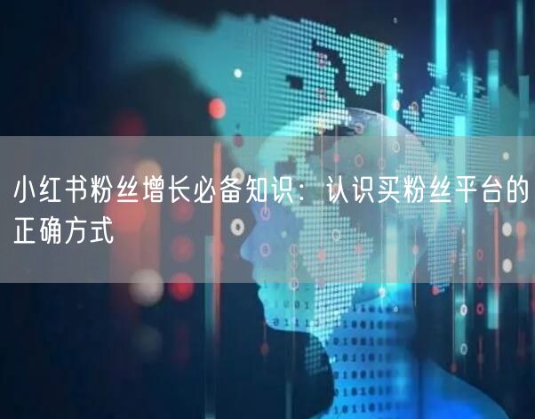 小红书粉丝增长必备知识：认识买粉丝平台的正确方式