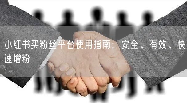 小红书买粉丝平台使用指南：安全、有效、快速增粉