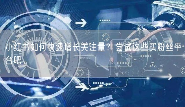 小红书如何快速增长关注量？尝试这些买粉丝平台吧。