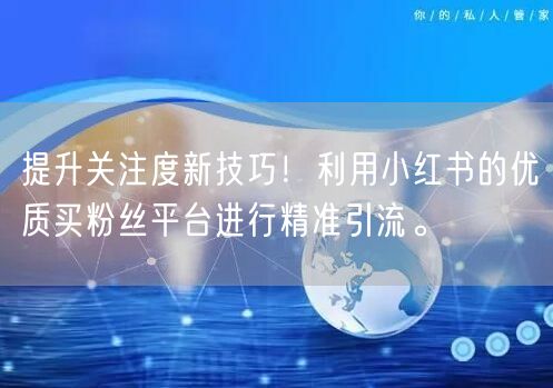 提升关注度新技巧！利用小红书的优质买粉丝平台进行精准引流。