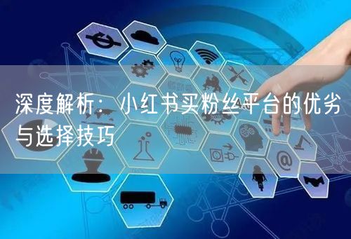 深度解析：小红书买粉丝平台的优劣与选择技巧