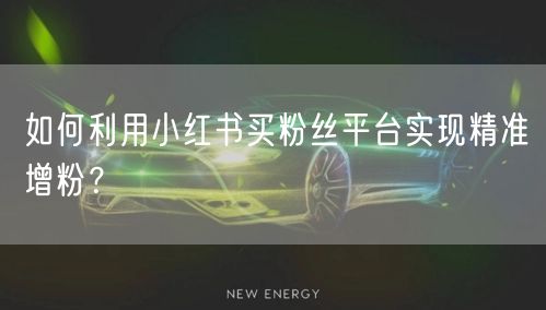 如何利用小红书买粉丝平台实现精准增粉？