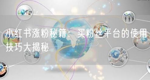 小红书涨粉秘籍：买粉丝平台的使用技巧大揭秘