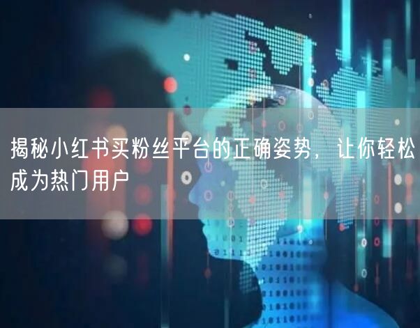 揭秘小红书买粉丝平台的正确姿势，让你轻松成为热门用户