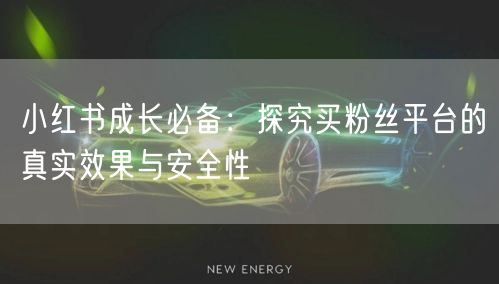 小红书成长必备：探究买粉丝平台的真实效果与安全性