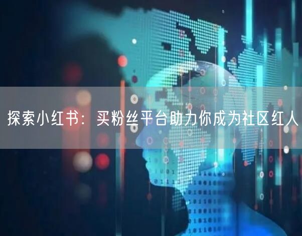 探索小红书：买粉丝平台助力你成为社区红人