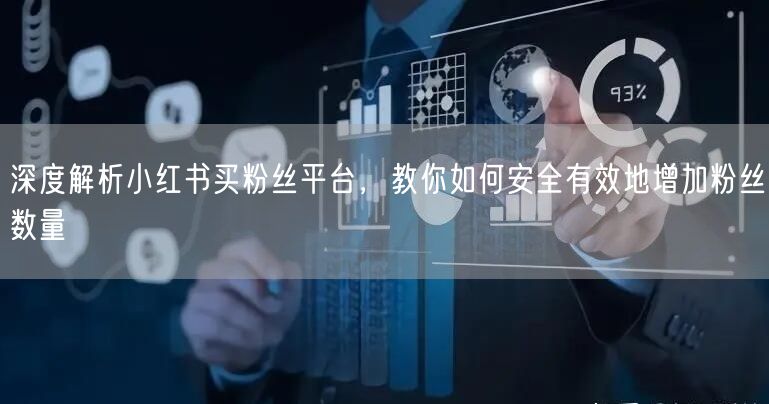 深度解析小红书买粉丝平台，教你如何安全有效地增加粉丝数量