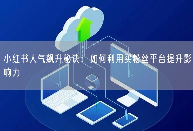 小红书人气飙升秘诀：如何利用买粉丝平台提升影响力