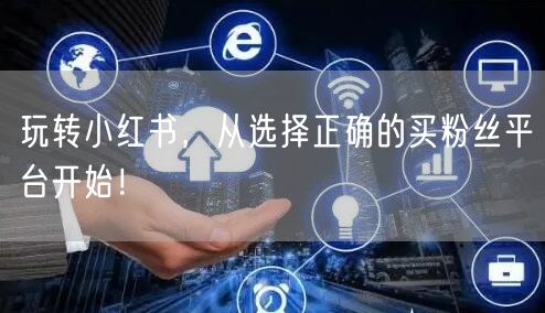 玩转小红书，从选择正确的买粉丝平台开始！
