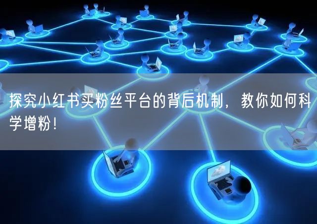 探究小红书买粉丝平台的背后机制，教你如何科学增粉！