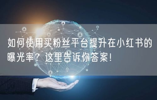 如何使用买粉丝平台提升在小红书的曝光率？这里告诉你答案！