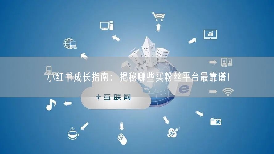 小红书成长指南：揭秘哪些买粉丝平台最靠谱！