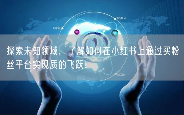 探索未知领域，了解如何在小红书上通过买粉丝平台实现质的飞跃！