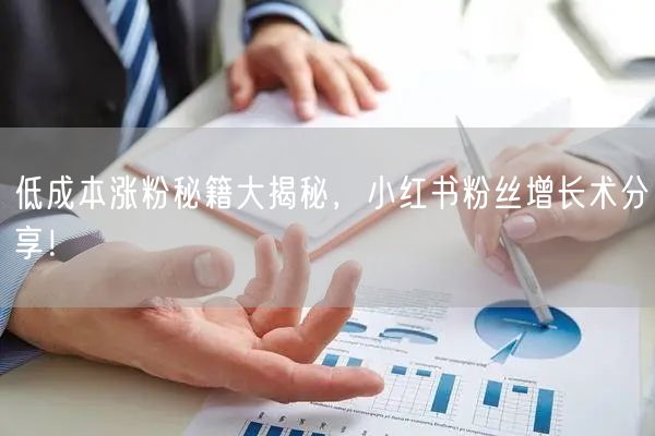 低成本涨粉秘籍大揭秘，小红书粉丝增长术分享！