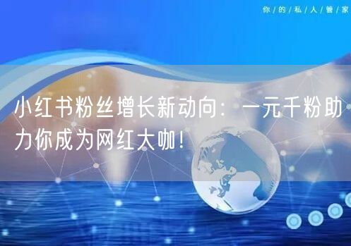 小红书粉丝增长新动向：一元千粉助力你成为网红大咖！