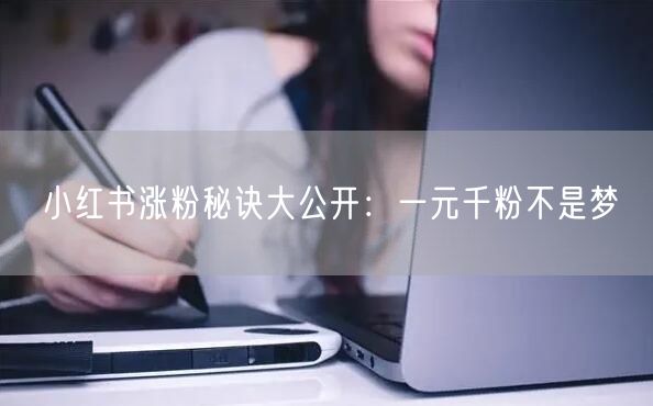 小红书涨粉秘诀大公开：一元千粉不是梦