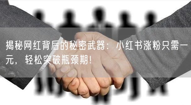 揭秘网红背后的秘密武器：小红书涨粉只需一元，轻松突破瓶颈期！