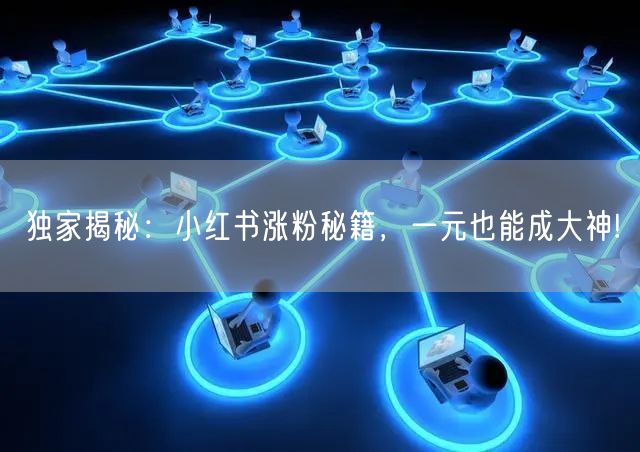 独家揭秘：小红书涨粉秘籍，一元也能成大神!