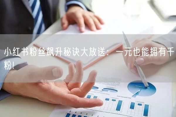 小红书粉丝飙升秘诀大放送：一元也能拥有千粉!