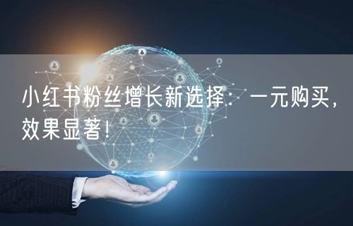 小红书粉丝增长新选择：一元购买，效果显著！
