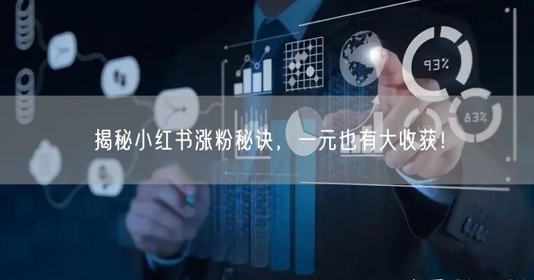 揭秘小红书涨粉秘诀，一元也有大收获！