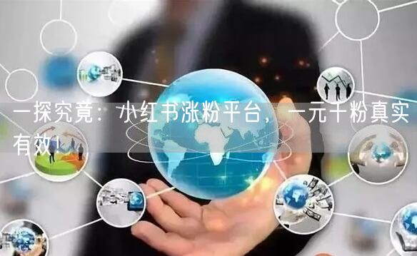 一探究竟：小红书涨粉平台，一元千粉真实有效！