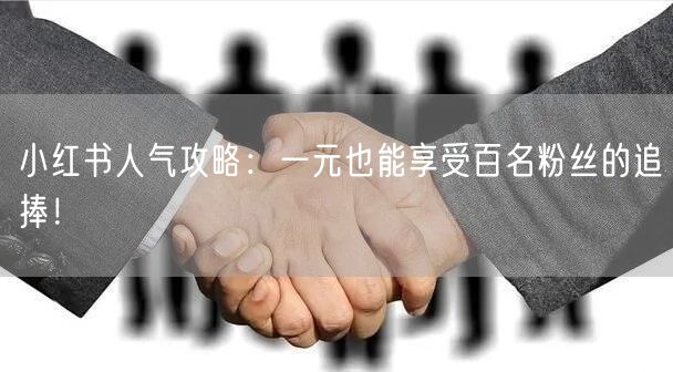 小红书人气攻略：一元也能享受百名粉丝的追捧！