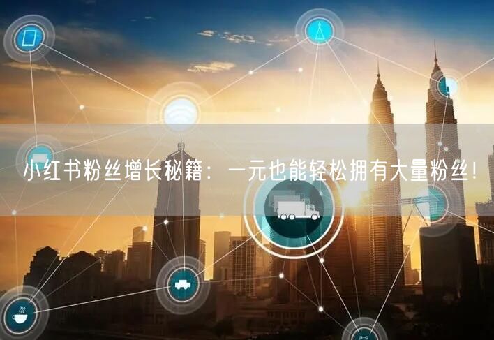 小红书粉丝增长秘籍：一元也能轻松拥有大量粉丝！