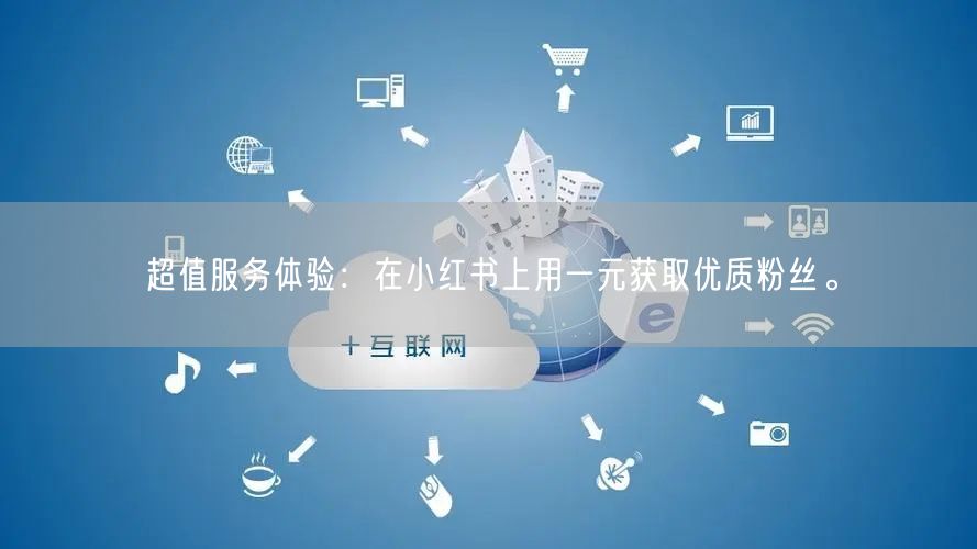 超值服务体验：在小红书上用一元获取优质粉丝。