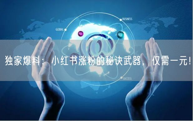 独家爆料：小红书涨粉的秘诀武器，仅需一元！