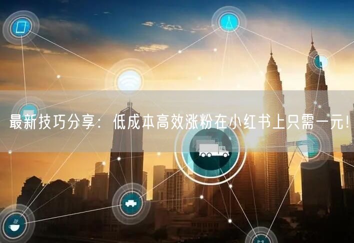 最新技巧分享：低成本高效涨粉在小红书上只需一元！