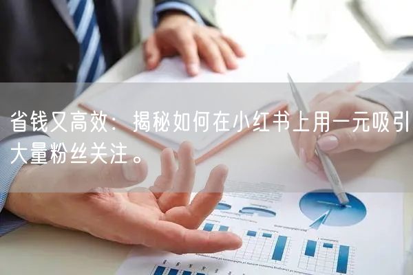 省钱又高效：揭秘如何在小红书上用一元吸引大量粉丝关注。